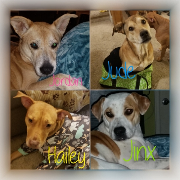 Meet your Posher, Jenn - Picture 15 of 16